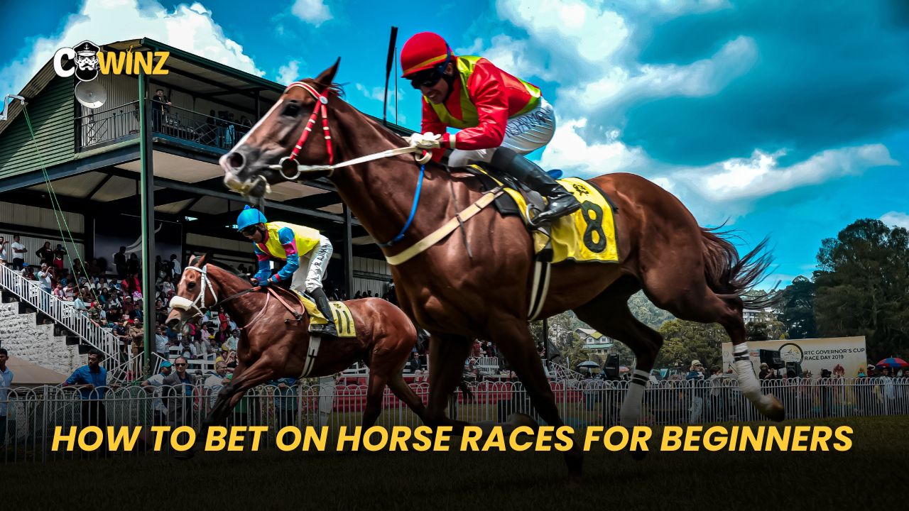 How to Bet on Horse Races for Beginners